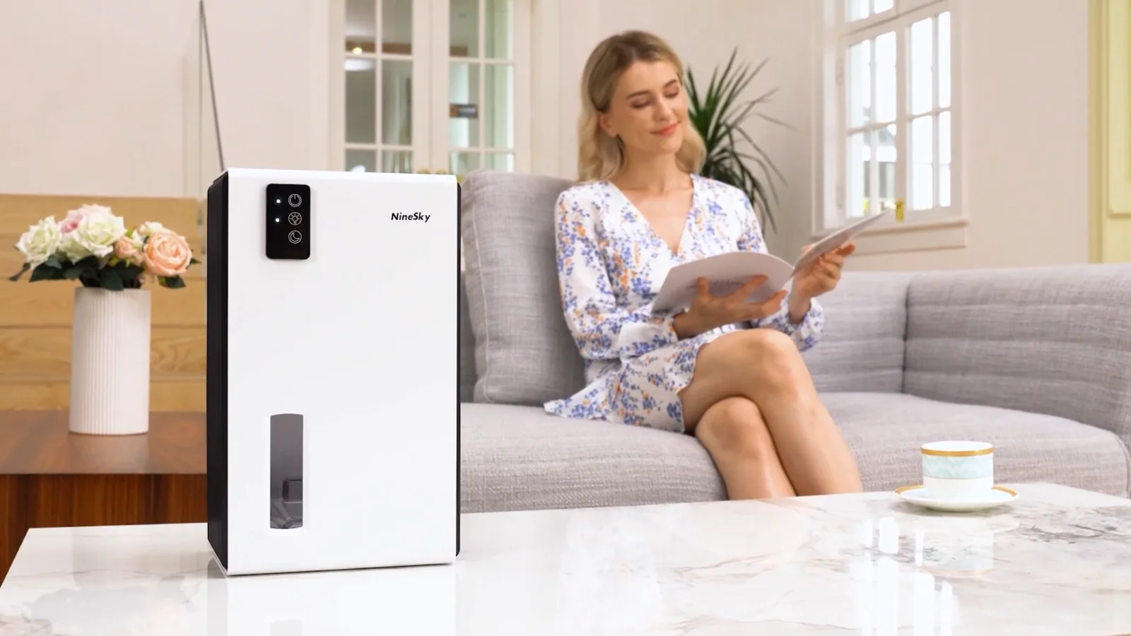 A white NineSky CT2 dehumidifier on a living-room table
