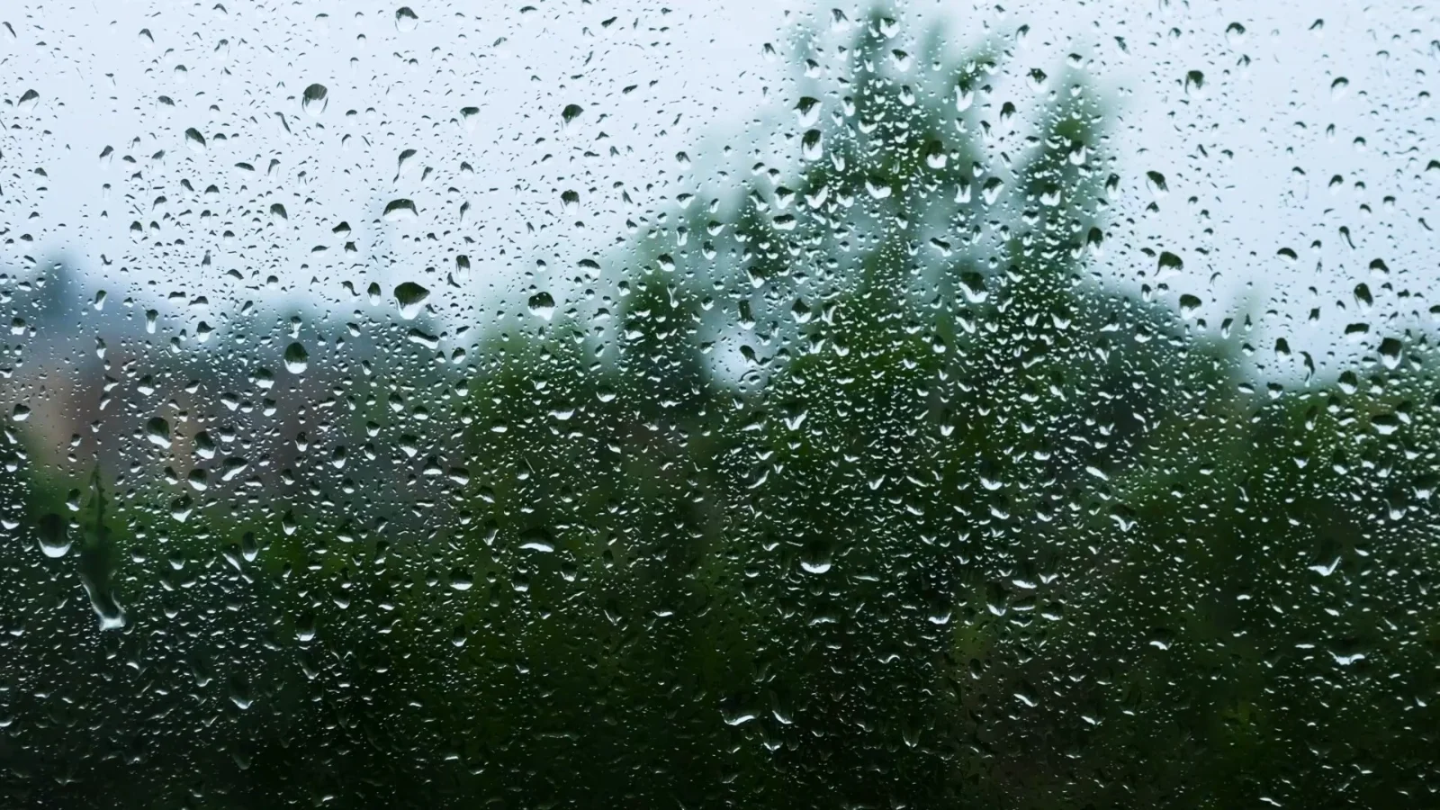 The weather the CT2 answers: a wet week pressing on the glass.